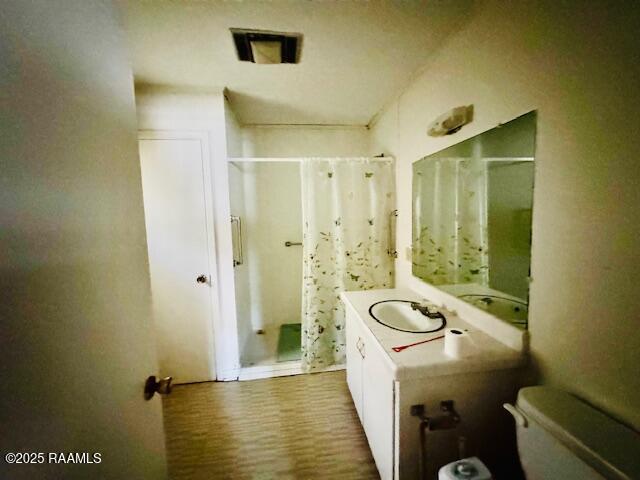 122 Progress Rd, Ville Platte, LA 70586 - bathroom with a shower with curtain, vanity, and wood finished floors