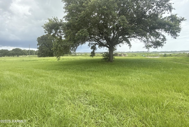 14927 S Guegnon St, Abbeville, LA 70510 - view of yard featuring a view of countryside