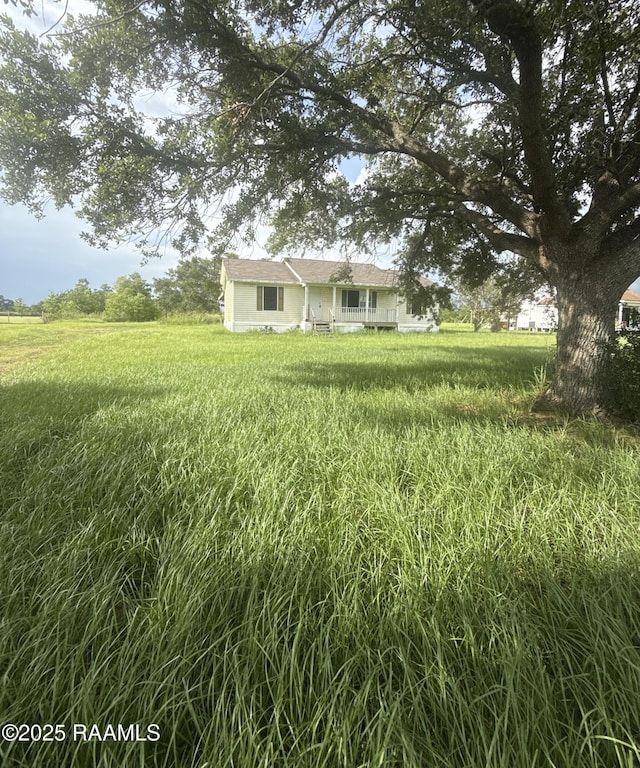 14927 S Guegnon St, Abbeville, LA 70510 - view of yard