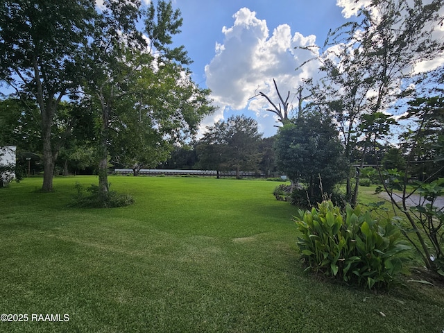 118 Pollard Ave, New Iberia, LA 70563 - view of grassy yard