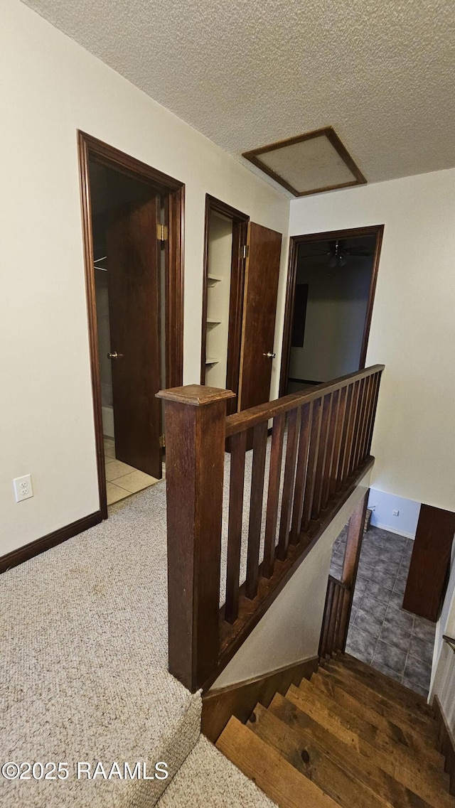 203 Southfield Pkwy, Lafayette, LA 70506 - photo 8