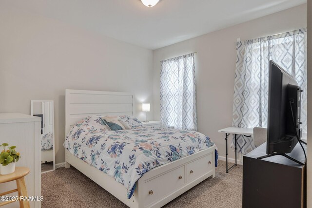 209 Rue Cordorcet, Youngsville, LA 70592 - photo 20