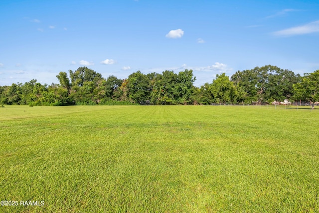 1044 Babineaux Rd, Breaux Bridge, LA 70517 - view of green lawn