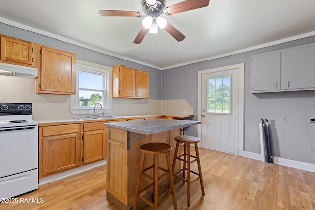 1044 Babineaux Rd, Breaux Bridge, LA 70517 - kitchen featuring electric stove, under cabinet range hood, plenty of natural light, and a breakfast bar