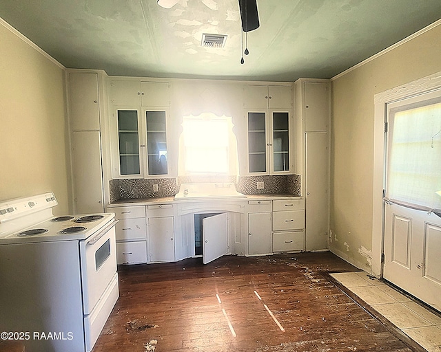 9028 La Cote Rd, Maurice, LA 70555 - kitchen featuring white electric stove, plenty of natural light, dark wood-style flooring, a ceiling fan, and crown molding