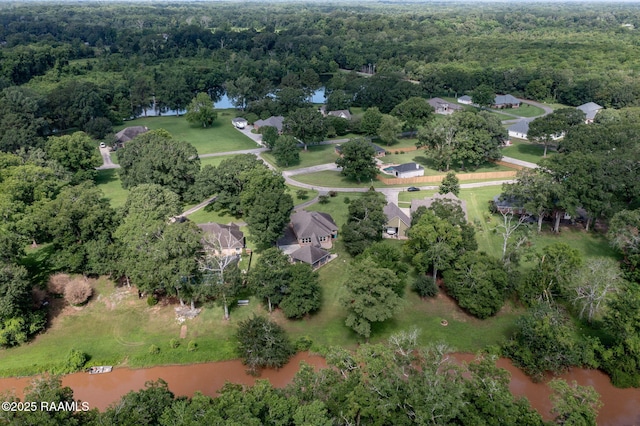 124 Buttercup Dr, Washington, LA 70589 - aerial overview of property's location with a forest and a large body of water
