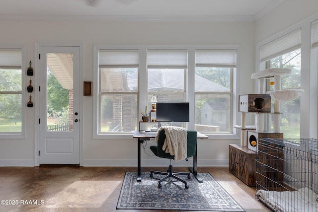 124 Buttercup Dr, Washington, LA 70589 - office with baseboards and ornamental molding