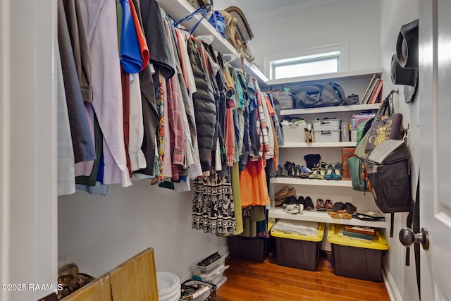 124 Buttercup Dr, Washington, LA 70589 - spacious closet with wood finished floors