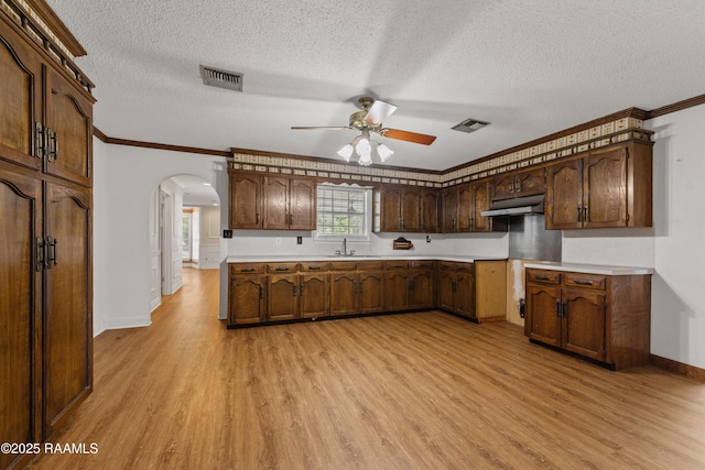 1243 Huval Rd, Breaux Bridge, LA 70517 - kitchen with under cabinet range hood, arched walkways, light wood-style floors, a ceiling fan, and crown molding