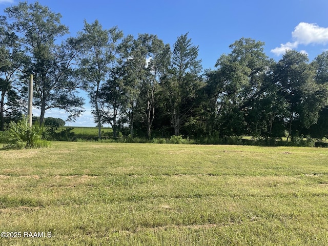 6405 Rabbit Run Rd, New Iberia, LA 70560 - photo 6