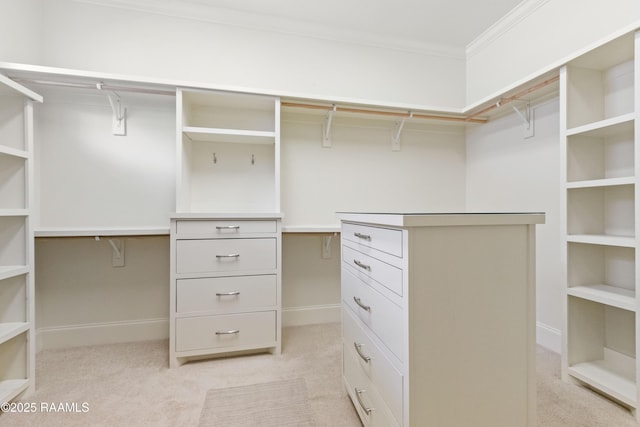 106 Brickell Way, Lafayette, LA 70508 - walk in closet with light colored carpet