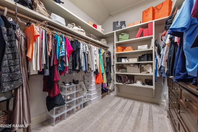 407 Arabella Blvd, Lafayette, LA 70508 - walk in closet with carpet flooring
