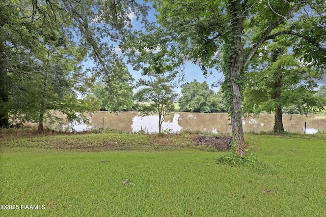 209 Sandager Ave, Jeanerette, LA 70544 - view of yard
