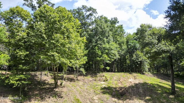 Tbd Highway 31, Opelousas, LA 70570