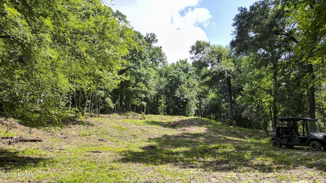 Tbd Highway 31, Opelousas, LA 70570