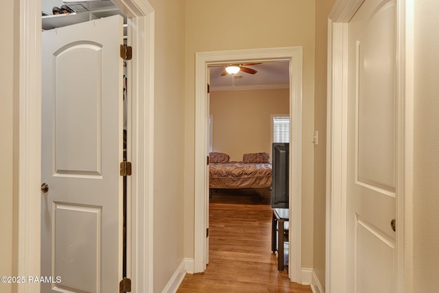 742 Hummingbird Ln, New Iberia, LA 70563 - corridor with light wood-style floors and crown molding
