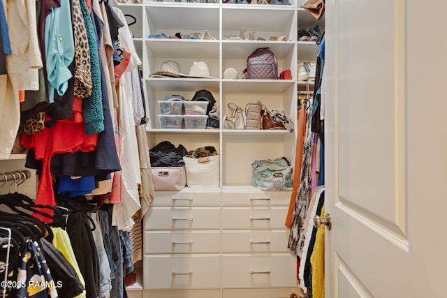 742 Hummingbird Ln, New Iberia, LA 70563 - view of walk in closet