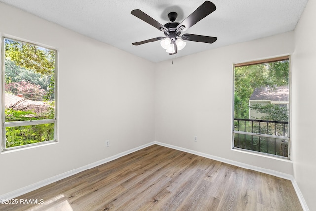313 Sidney Martin Rd, Lafayette, LA 70507 - empty room featuring light wood-type flooring and ceiling fan