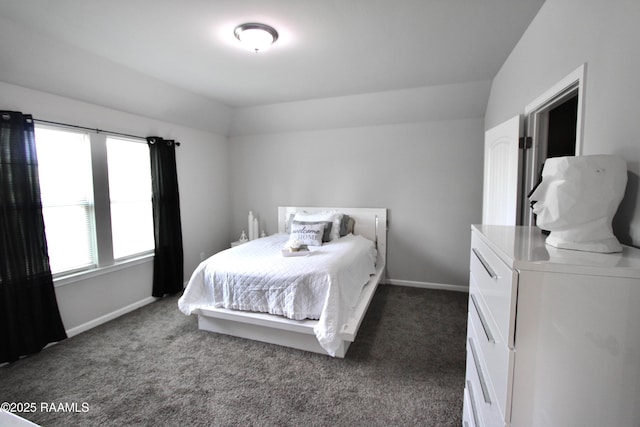 205 Acadian Lake Dr, Duson, LA 70529 - bedroom with dark colored carpet