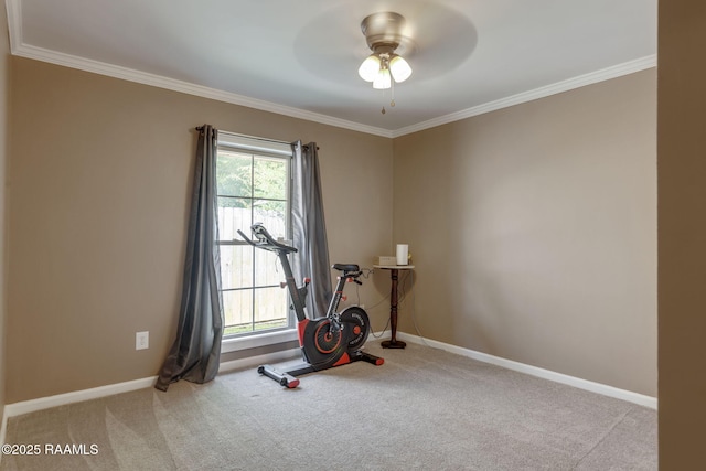 122 Thrush Loop, Lafayette, LA 70508 - exercise room featuring a ceiling fan, carpet, and crown molding