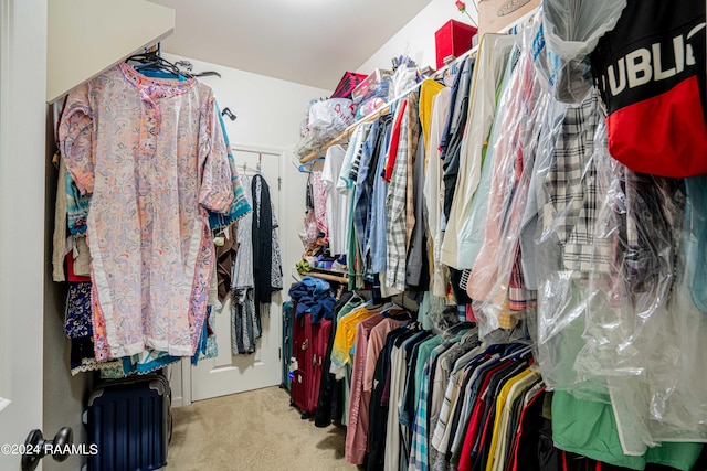 117 Gray Birch Loop, Youngsville, LA 70592 - spacious closet with carpet