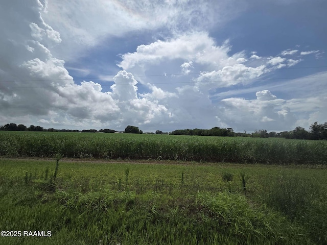 8200 Fusilier Rd, Maurice, LA 70555 - photo 3