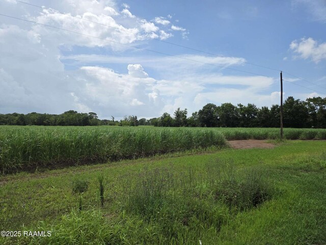 8200 Fusilier Rd, Maurice, LA 70555 - photo 4