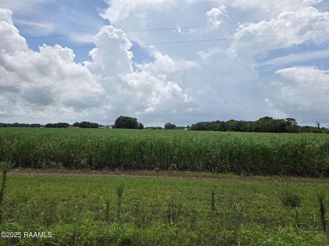 8200 Fusilier Rd, Maurice, LA 70555 - photo 5