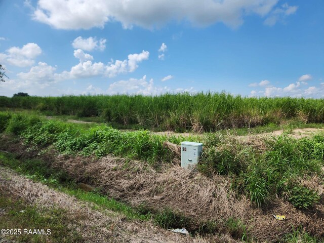 8200 Fusilier Rd, Maurice, LA 70555 - photo 7