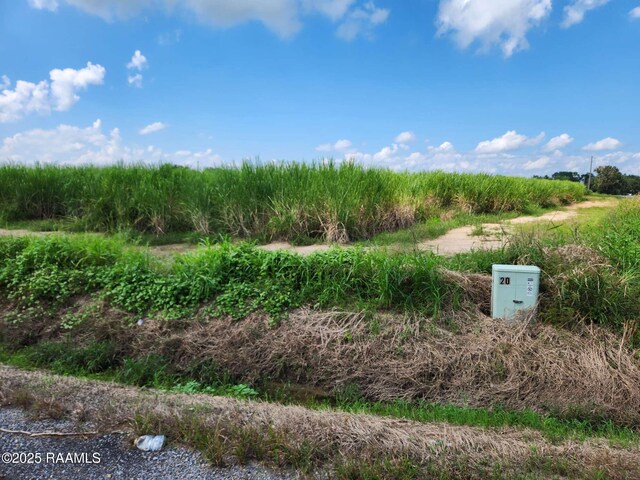 8200 Fusilier Rd, Maurice, LA 70555 - photo 8