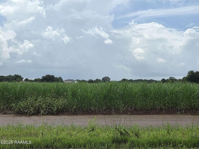 8200 Fusilier Rd, Maurice, LA 70555 - photo 9