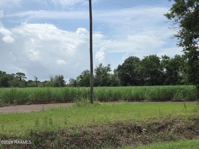 8200 Fusilier Rd, Maurice, LA 70555 - photo 10