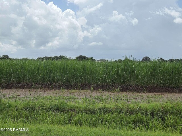 8200 Fusilier Rd, Maurice, LA 70555 - photo 11