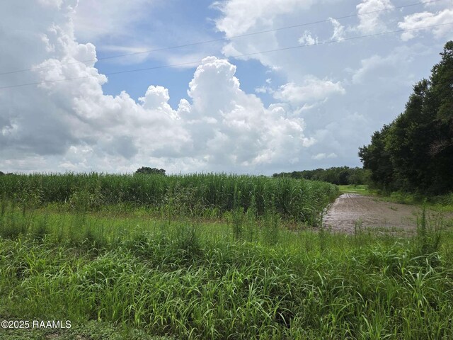 8200 Fusilier Rd, Maurice, LA 70555 - photo 13