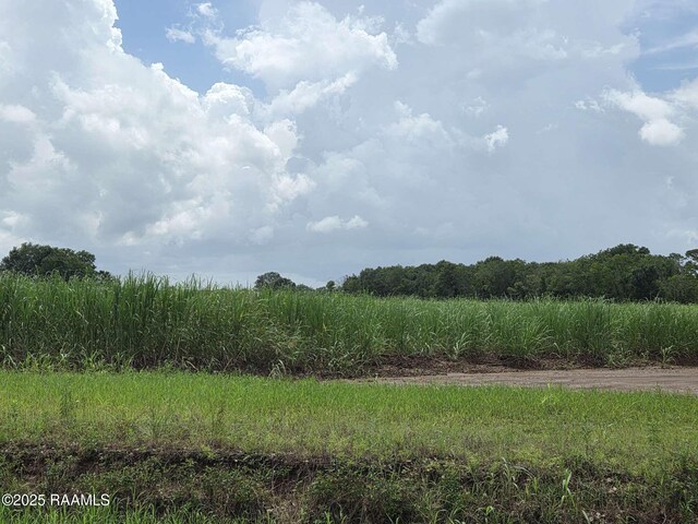 8200 Fusilier Rd, Maurice, LA 70555 - photo 14