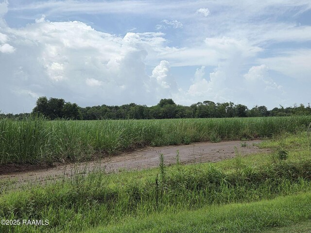 8200 Fusilier Rd, Maurice, LA 70555 - photo 15