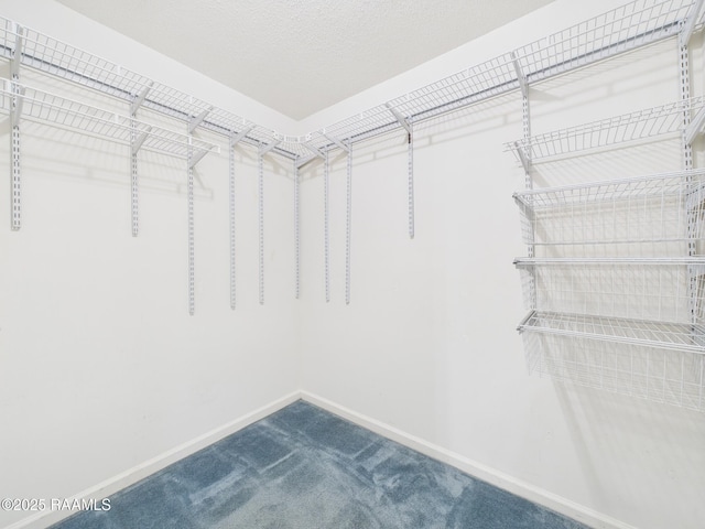 129 Petitjean Rd, Duson, LA 70529 - photo 21