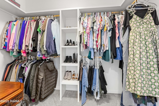117 Montero Cir, Lafayette, LA 70503 - spacious closet featuring carpet floors