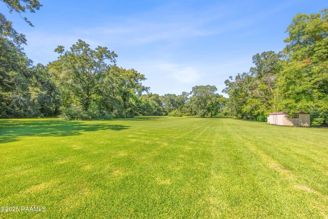 1212 S Main St, Breaux Bridge, LA 70517 - view of green lawn featuring a shed