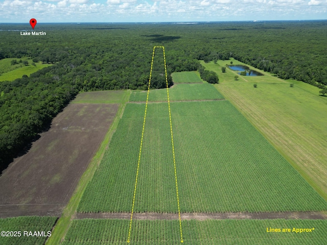 1212 S Main St, Breaux Bridge, LA 70517 - view of rural area featuring a forest and a large body of water