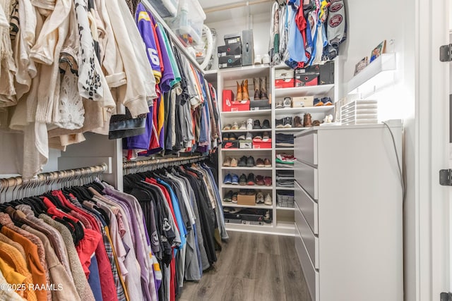 100 Catamaran Dr, Youngsville, LA 70592 - spacious closet with wood finished floors