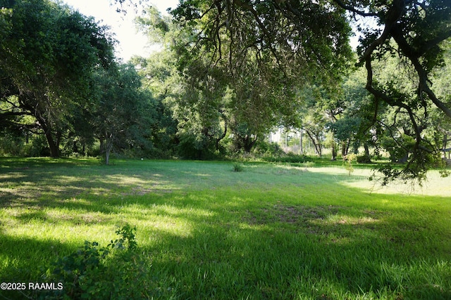 000 La Highway 82, Kaplan, LA 70548 - photo 6
