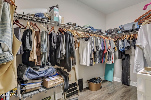 213 E Peck Blvd, Lafayette, LA 70508 - walk in closet with wood finished floors
