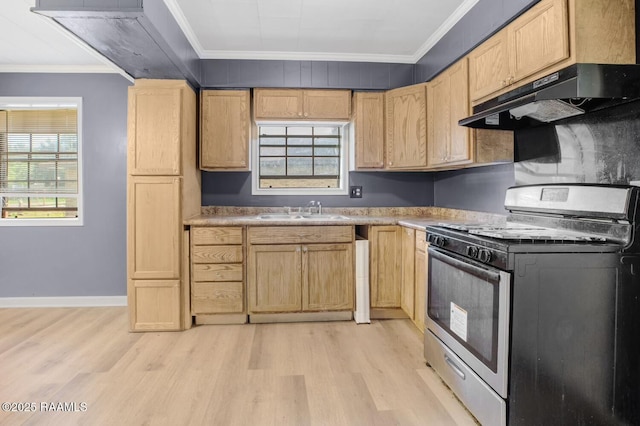 809 Cecile Blvd, Breaux Bridge, LA 70517 - kitchen with stainless steel range oven, under cabinet range hood, light wood finished floors, ornamental molding, and plenty of natural light