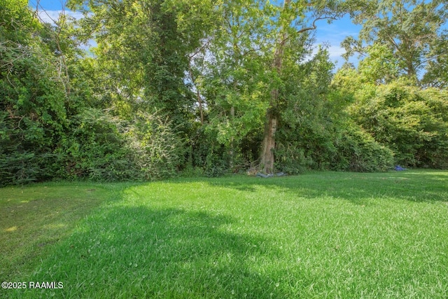 809 Cecile Blvd, Breaux Bridge, LA 70517 - view of green lawn