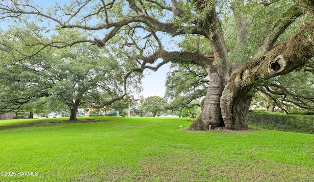 6302 Old Jeanerette Rd, New Iberia, LA 70563 - view of grassy yard
