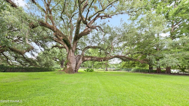 6302 Old Jeanerette Rd, New Iberia, LA 70563 - view of yard