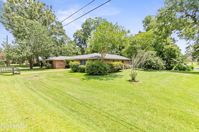 118 Garrigue Dr, Opelousas, LA 70570 - view of green lawn