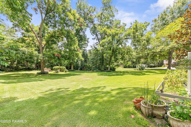 118 Garrigue Dr, Opelousas, LA 70570 - view of grassy yard featuring a vegetable garden and view of scattered trees