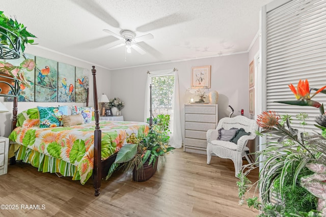 118 Garrigue Dr, Opelousas, LA 70570 - bedroom featuring wood finished floors, ornamental molding, a textured ceiling, and ceiling fan